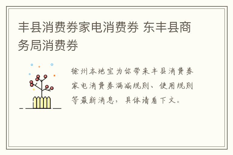 丰县消费券家电消费券 东丰县商务局消费券