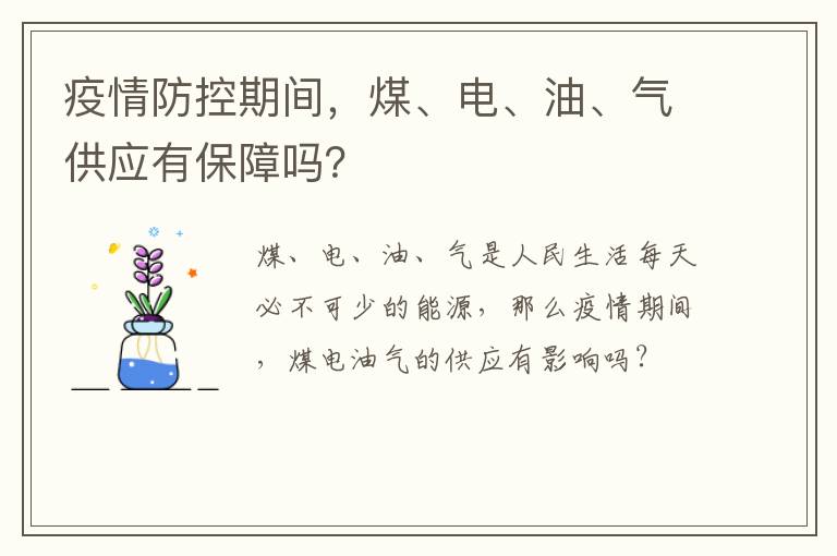 疫情防控期间，煤、电、油、气供应有保障吗？