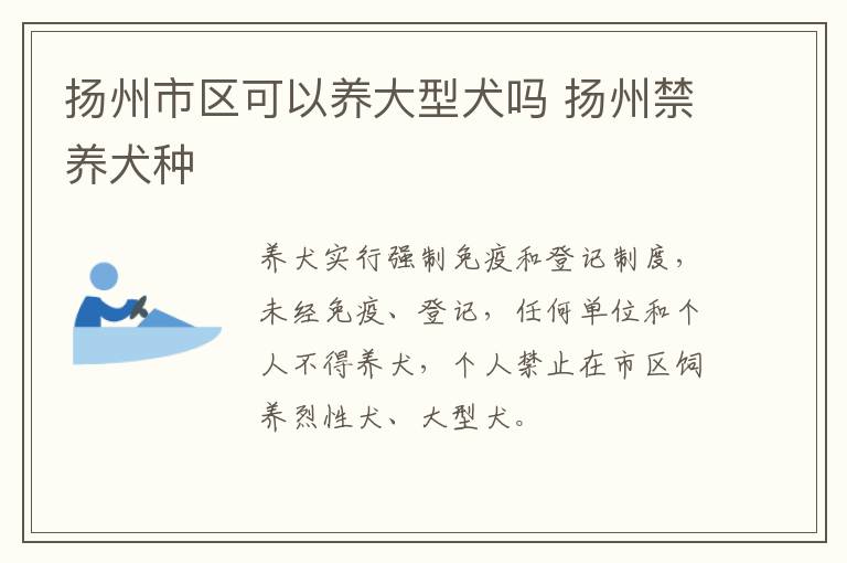 扬州市区可以养大型犬吗 扬州禁养犬种