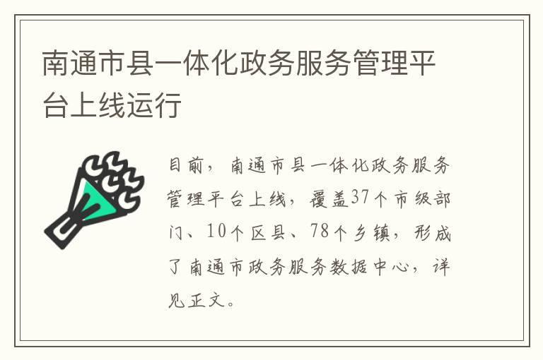 南通市县一体化政务服务管理平台上线运行