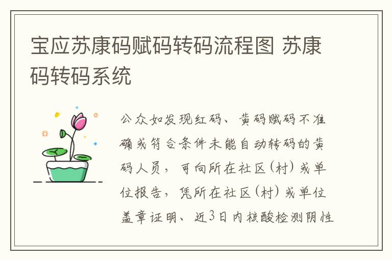 宝应苏康码赋码转码流程图 苏康码转码系统