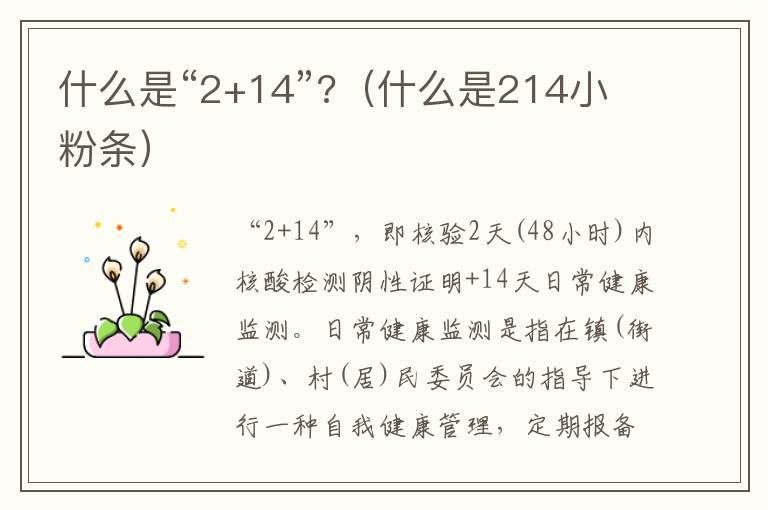 什么是“2+14”?（什么是214小粉条）