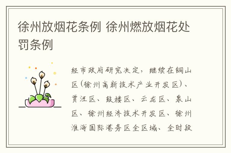 徐州放烟花条例 徐州燃放烟花处罚条例