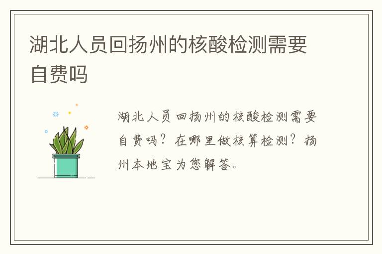 湖北人员回扬州的核酸检测需要自费吗
