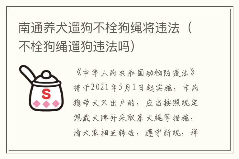 南通养犬遛狗不栓狗绳将违法（不栓狗绳遛狗违法吗）
