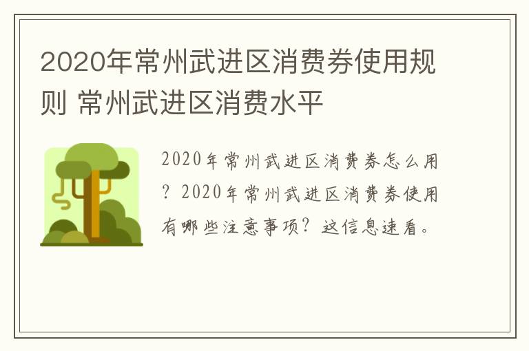 2020年常州武进区消费券使用规则 常州武进区消费水平