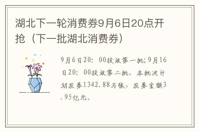 湖北下一轮消费券9月6日20点开抢（下一批湖北消费券）