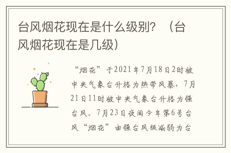 台风烟花现在是什么级别？（台风烟花现在是几级）
