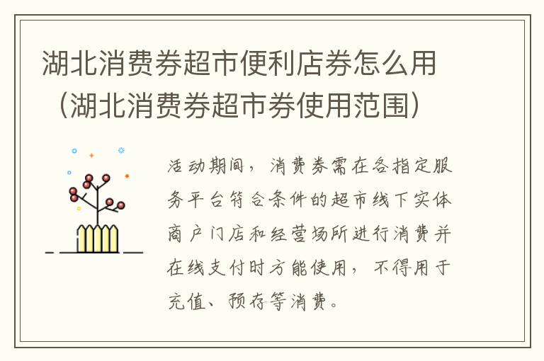 湖北消费券超市便利店券怎么用（湖北消费券超市券使用范围）