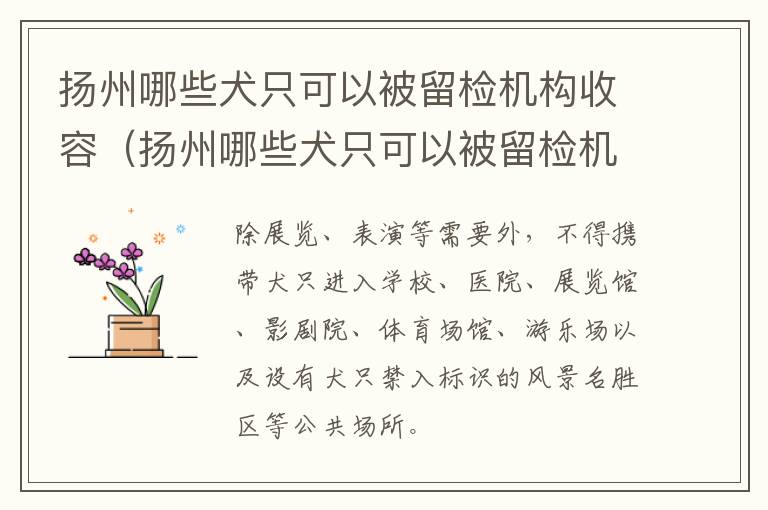 扬州哪些犬只可以被留检机构收容（扬州哪些犬只可以被留检机构收容的）