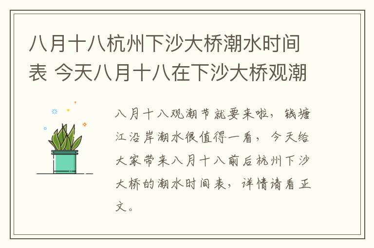 八月十八杭州下沙大桥潮水时间表 今天八月十八在下沙大桥观潮是几点