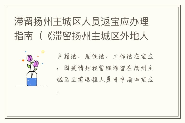 滞留扬州主城区人员返宝应办理指南（《滞留扬州主城区外地人员返程申请单(自驾驾乘人员》）