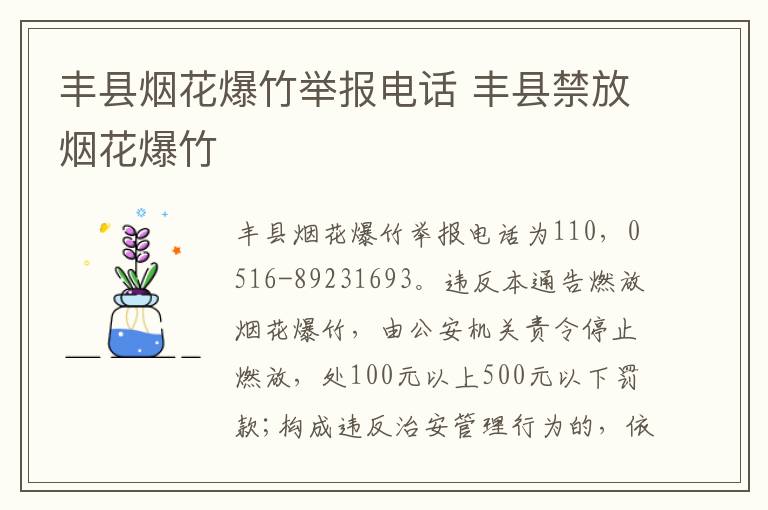 丰县烟花爆竹举报电话 丰县禁放烟花爆竹