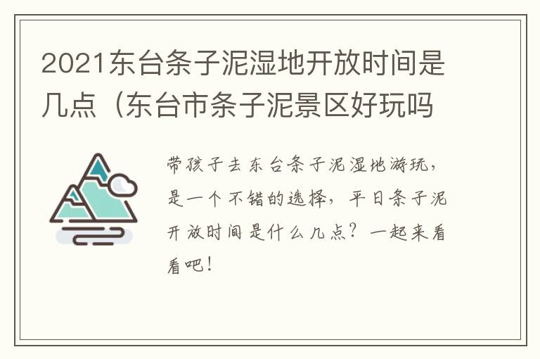 2021东台条子泥湿地开放时间是几点（东台市条子泥景区好玩吗）