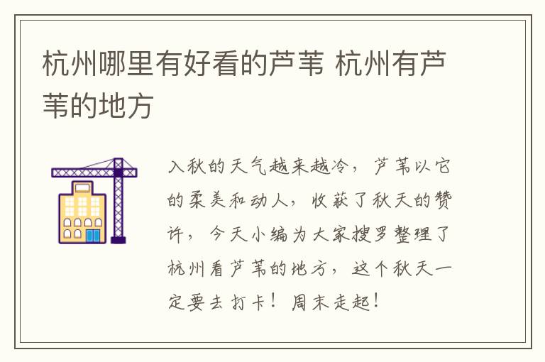杭州哪里有好看的芦苇 杭州有芦苇的地方