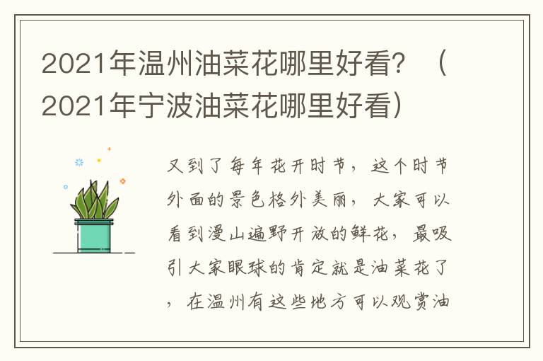 2021年温州油菜花哪里好看？（2021年宁波油菜花哪里好看）