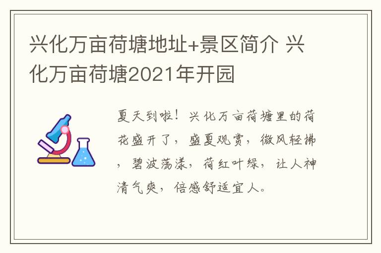 兴化万亩荷塘地址+景区简介 兴化万亩荷塘2021年开园