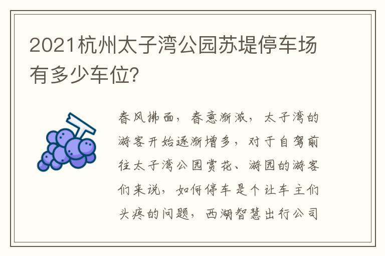 2021杭州太子湾公园苏堤停车场有多少车位？