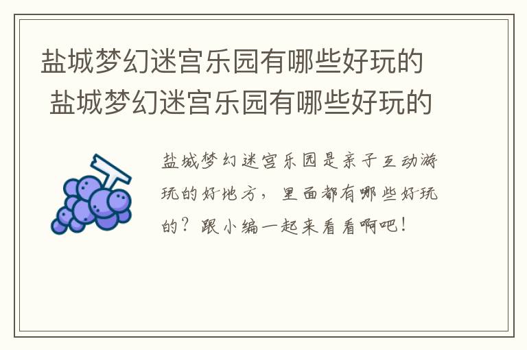 盐城梦幻迷宫乐园有哪些好玩的 盐城梦幻迷宫乐园有哪些好玩的东西