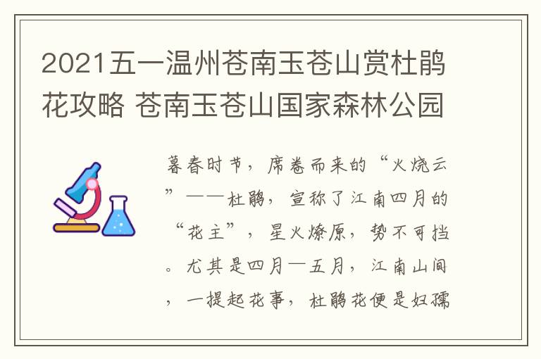 2021五一温州苍南玉苍山赏杜鹃花攻略 苍南玉苍山国家森林公园