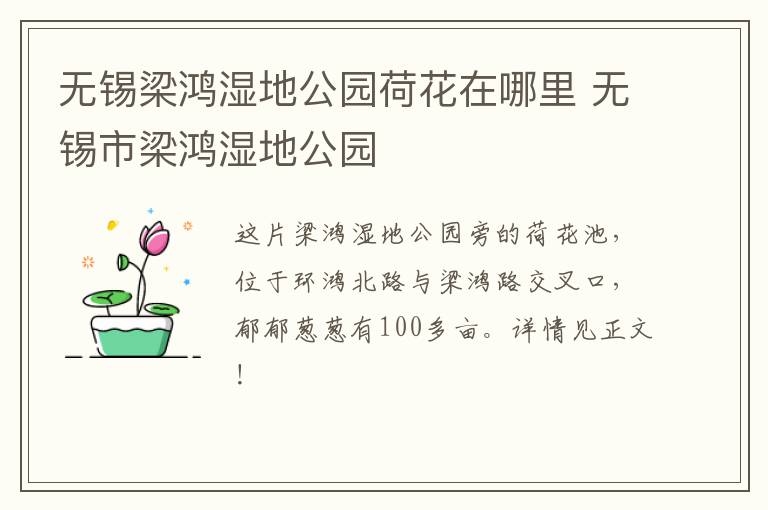 无锡梁鸿湿地公园荷花在哪里 无锡市梁鸿湿地公园