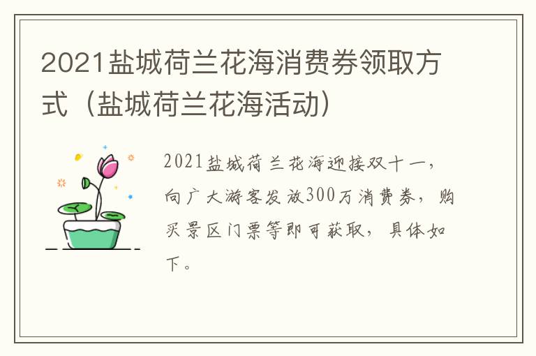2021盐城荷兰花海消费券领取方式（盐城荷兰花海活动）