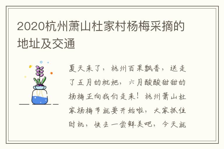2020杭州萧山杜家村杨梅采摘的地址及交通
