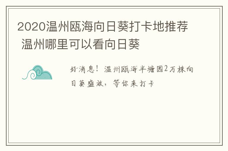 2020温州瓯海向日葵打卡地推荐 温州哪里可以看向日葵