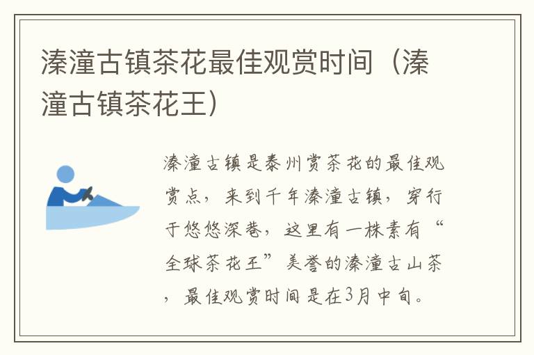 溱潼古镇茶花最佳观赏时间（溱潼古镇茶花王）