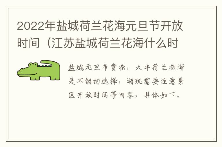 2022年盐城荷兰花海元旦节开放时间（江苏盐城荷兰花海什么时候去玩最好）