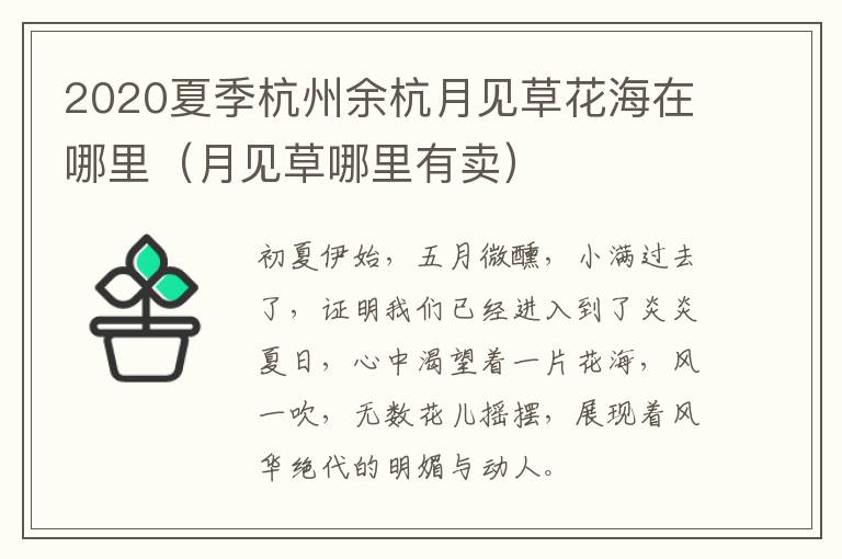 2020夏季杭州余杭月见草花海在哪里（月见草哪里有卖）