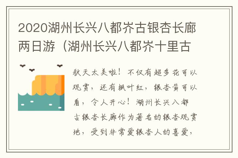 2020湖州长兴八都岕古银杏长廊两日游（湖州长兴八都岕十里古银杏长廊景区）
