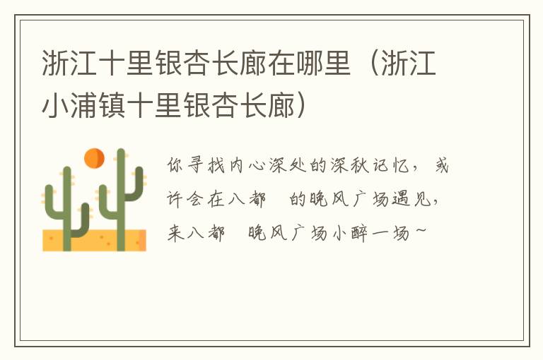 浙江十里银杏长廊在哪里（浙江小浦镇十里银杏长廊）