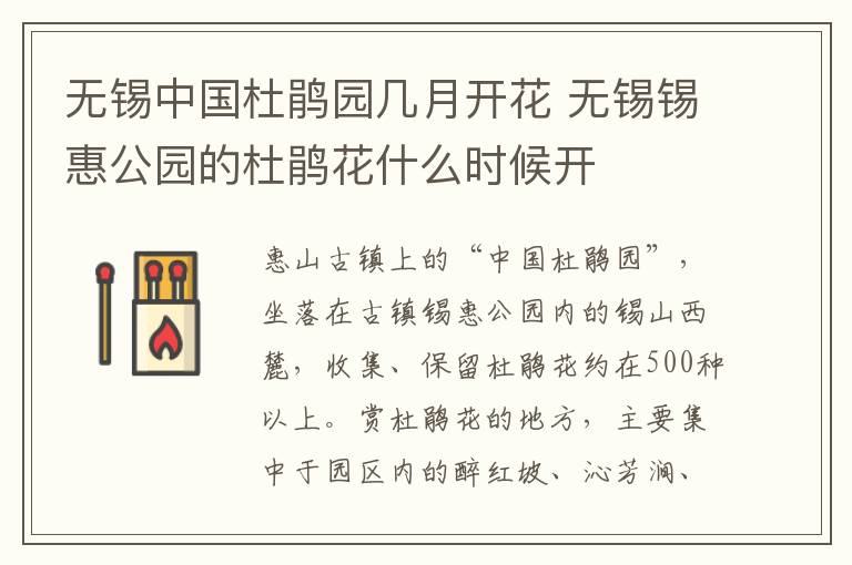 无锡中国杜鹃园几月开花 无锡锡惠公园的杜鹃花什么时候开