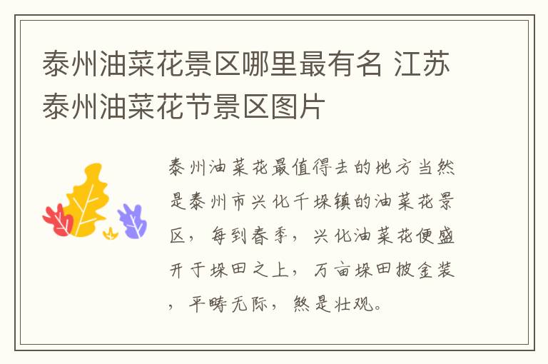 泰州油菜花景区哪里最有名 江苏泰州油菜花节景区图片