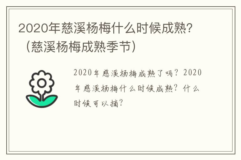 2020年慈溪杨梅什么时候成熟？（慈溪杨梅成熟季节）