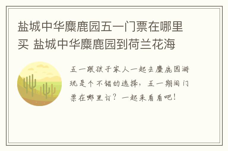 盐城中华麋鹿园五一门票在哪里买 盐城中华麋鹿园到荷兰花海