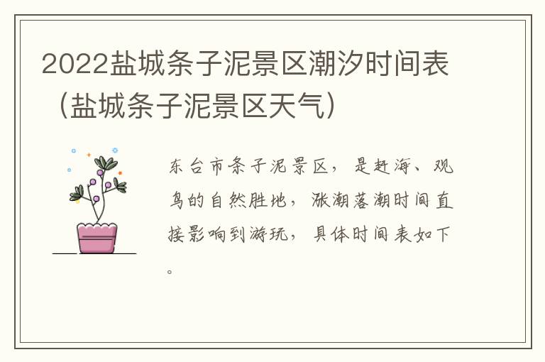 2022盐城条子泥景区潮汐时间表（盐城条子泥景区天气）