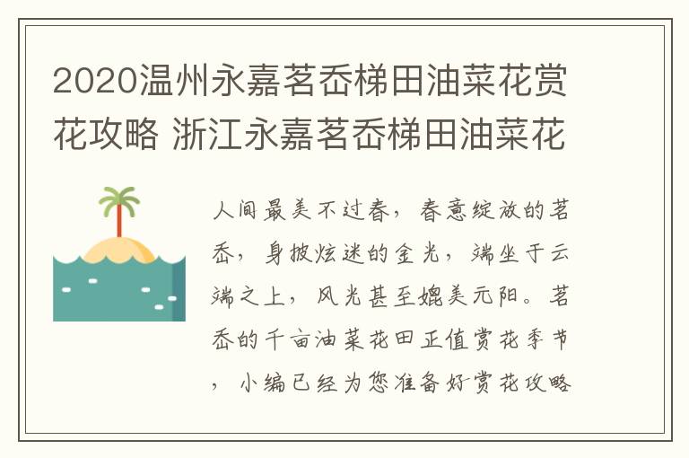 2020温州永嘉茗岙梯田油菜花赏花攻略 浙江永嘉茗岙梯田油菜花