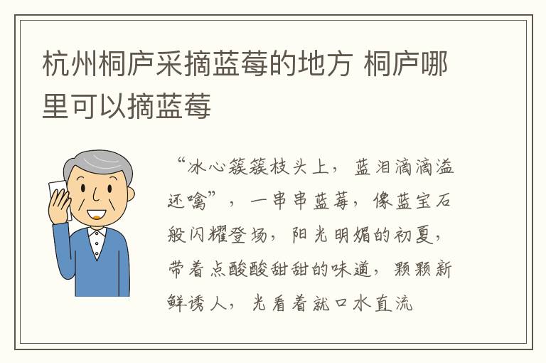 杭州桐庐采摘蓝莓的地方 桐庐哪里可以摘蓝莓