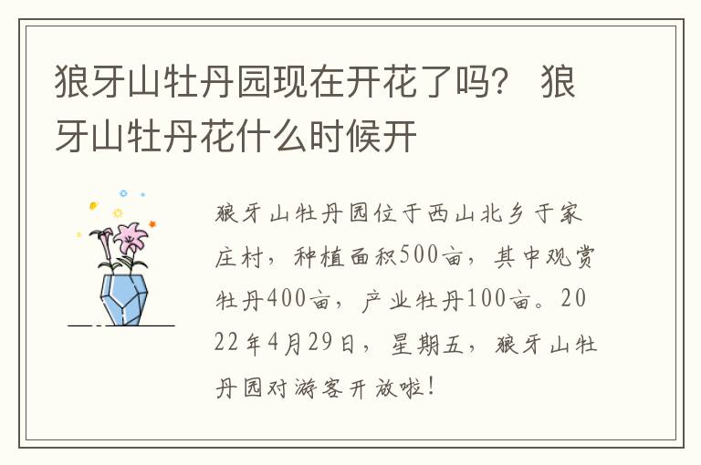 狼牙山牡丹园现在开花了吗？ 狼牙山牡丹花什么时候开