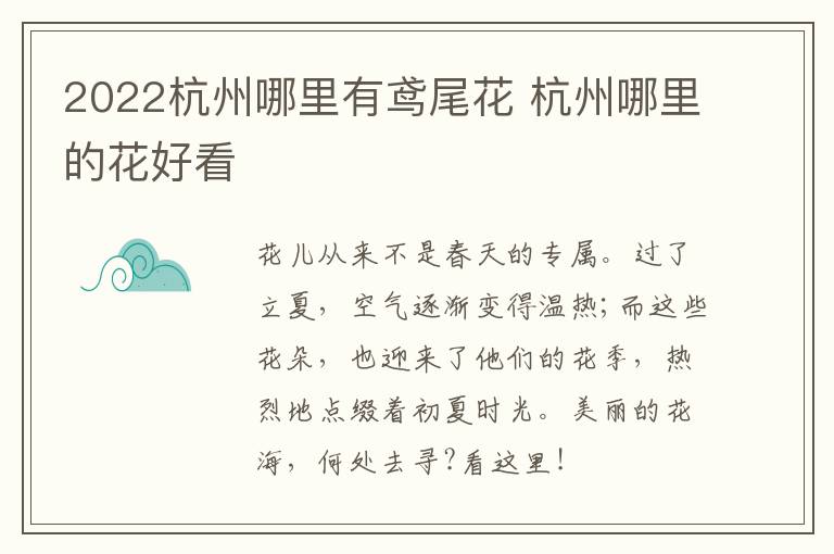 2022杭州哪里有鸢尾花 杭州哪里的花好看
