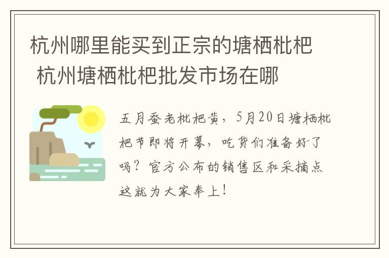 杭州哪里能买到正宗的塘栖枇杷 杭州塘栖枇杷批发市场在哪