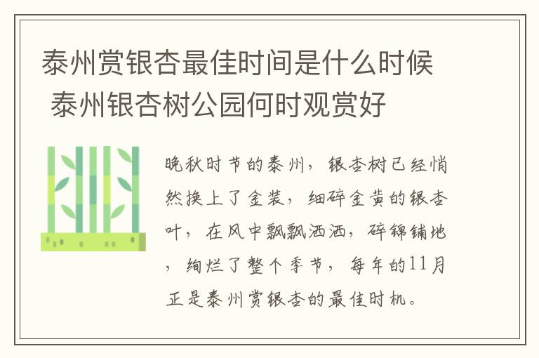 泰州赏银杏最佳时间是什么时候 泰州银杏树公园何时观赏好