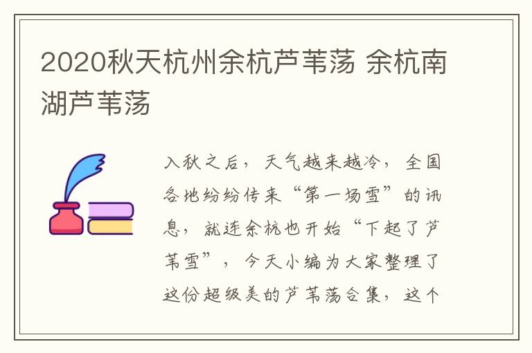 2020秋天杭州余杭芦苇荡 余杭南湖芦苇荡