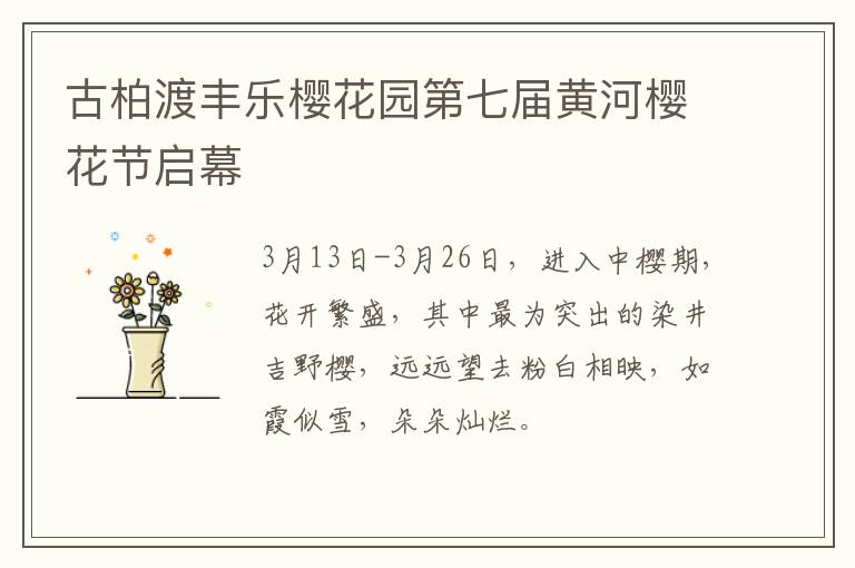 古柏渡丰乐樱花园第七届黄河樱花节启幕