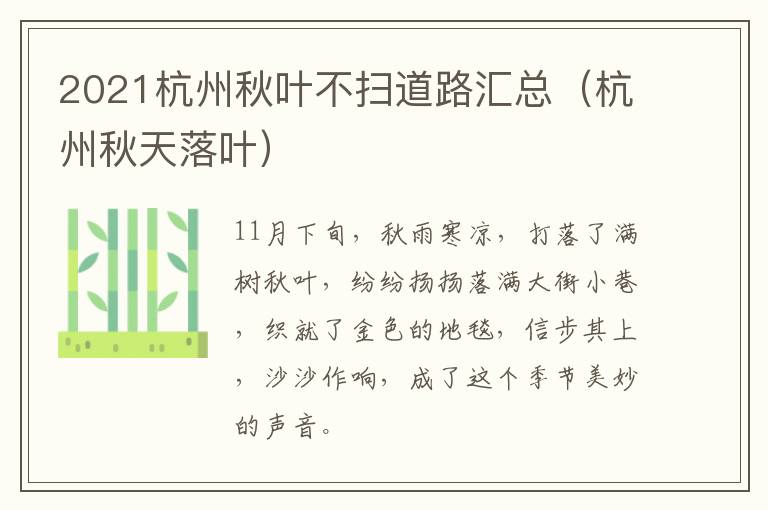 2021杭州秋叶不扫道路汇总（杭州秋天落叶）