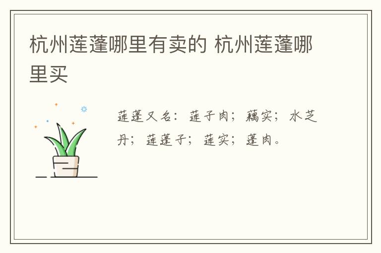杭州莲蓬哪里有卖的 杭州莲蓬哪里买