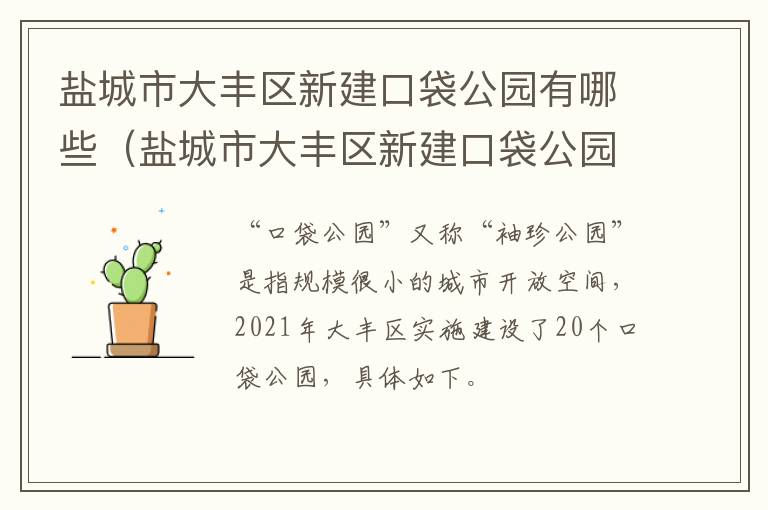 盐城市大丰区新建口袋公园有哪些（盐城市大丰区新建口袋公园有哪些公交车）