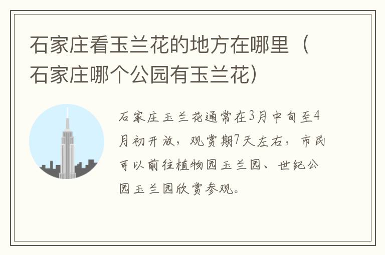 石家庄看玉兰花的地方在哪里（石家庄哪个公园有玉兰花）